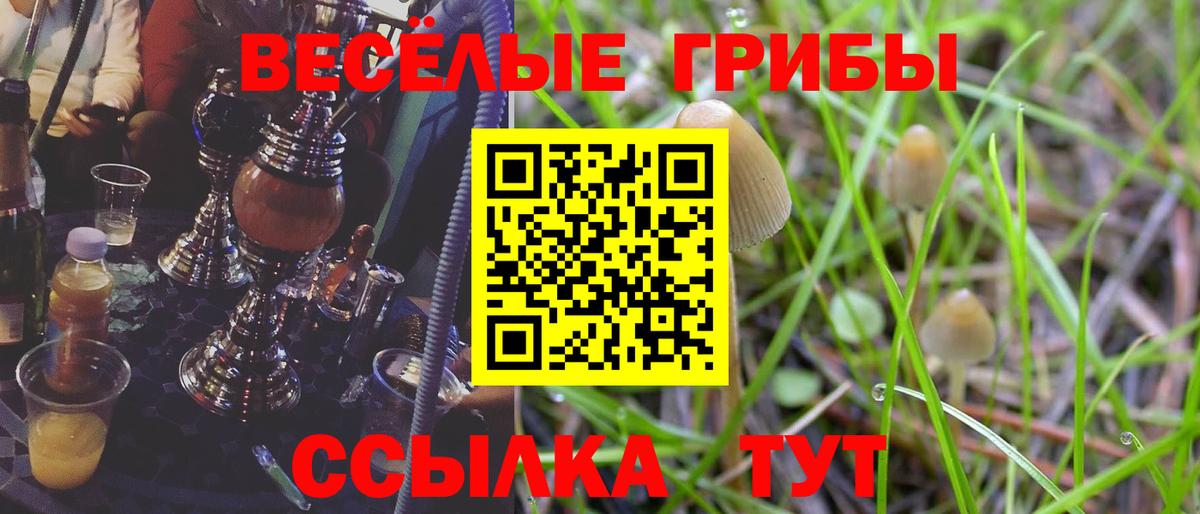 купить  цена  Вход с VPN  Кувандык  Галлюциногенные грибы мухоморы 